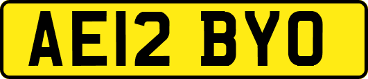 AE12BYO