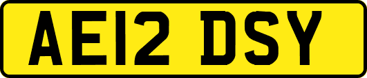 AE12DSY