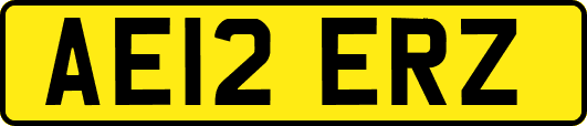 AE12ERZ