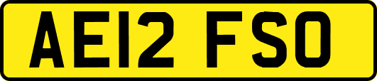 AE12FSO
