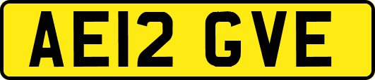 AE12GVE