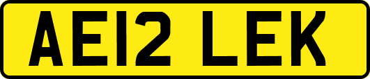 AE12LEK