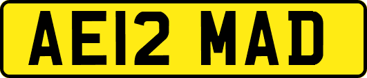 AE12MAD