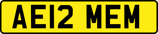 AE12MEM