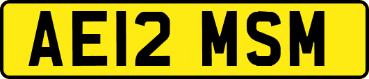 AE12MSM