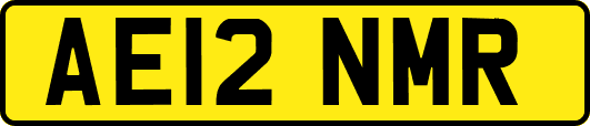 AE12NMR