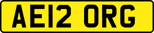 AE12ORG