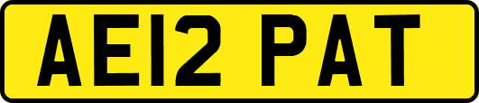 AE12PAT