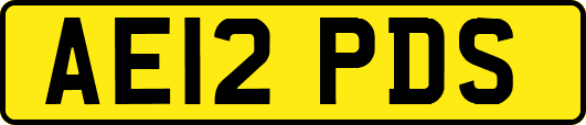 AE12PDS
