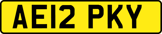 AE12PKY