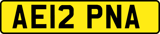 AE12PNA