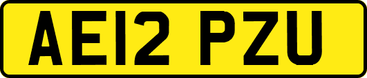 AE12PZU