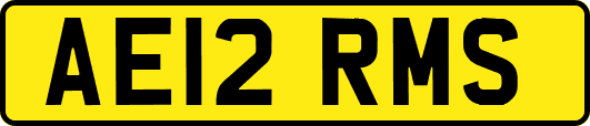 AE12RMS