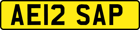 AE12SAP