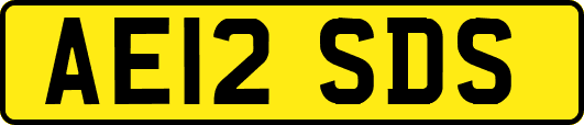 AE12SDS