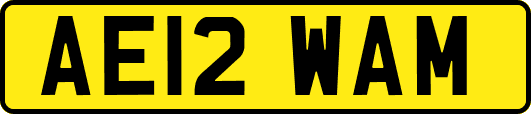 AE12WAM