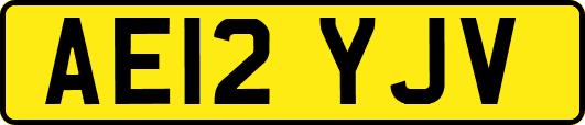 AE12YJV