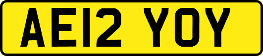 AE12YOY