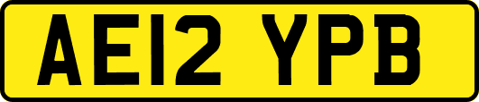 AE12YPB