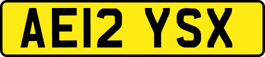 AE12YSX