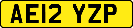 AE12YZP