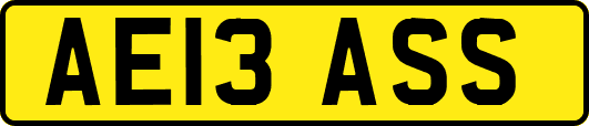 AE13ASS