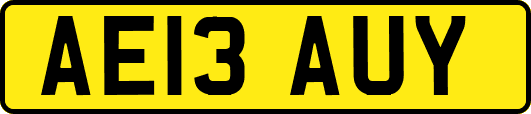 AE13AUY