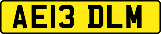 AE13DLM