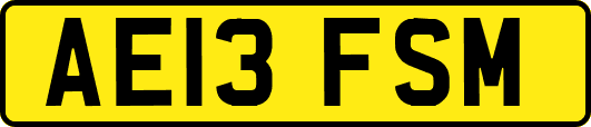AE13FSM