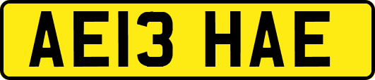 AE13HAE