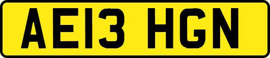 AE13HGN