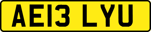 AE13LYU