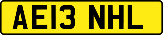 AE13NHL