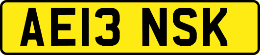 AE13NSK