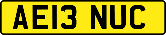 AE13NUC