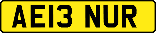 AE13NUR