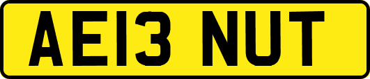AE13NUT