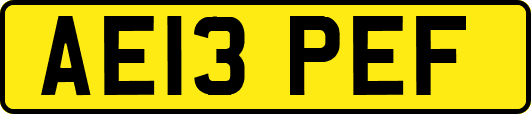 AE13PEF