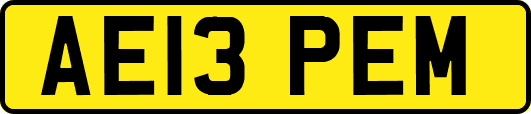 AE13PEM