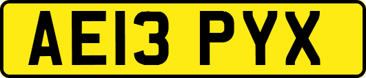 AE13PYX