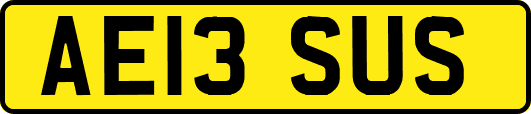 AE13SUS