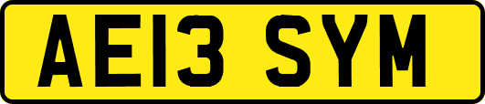 AE13SYM