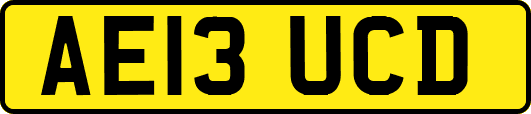 AE13UCD