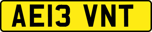 AE13VNT