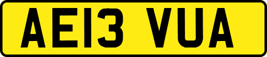 AE13VUA