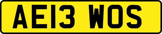 AE13WOS
