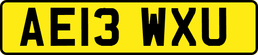 AE13WXU