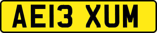 AE13XUM