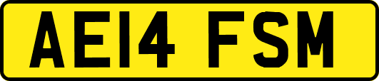 AE14FSM
