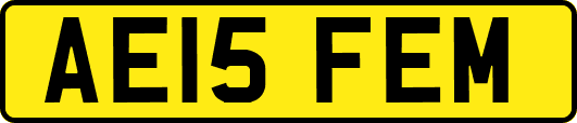 AE15FEM